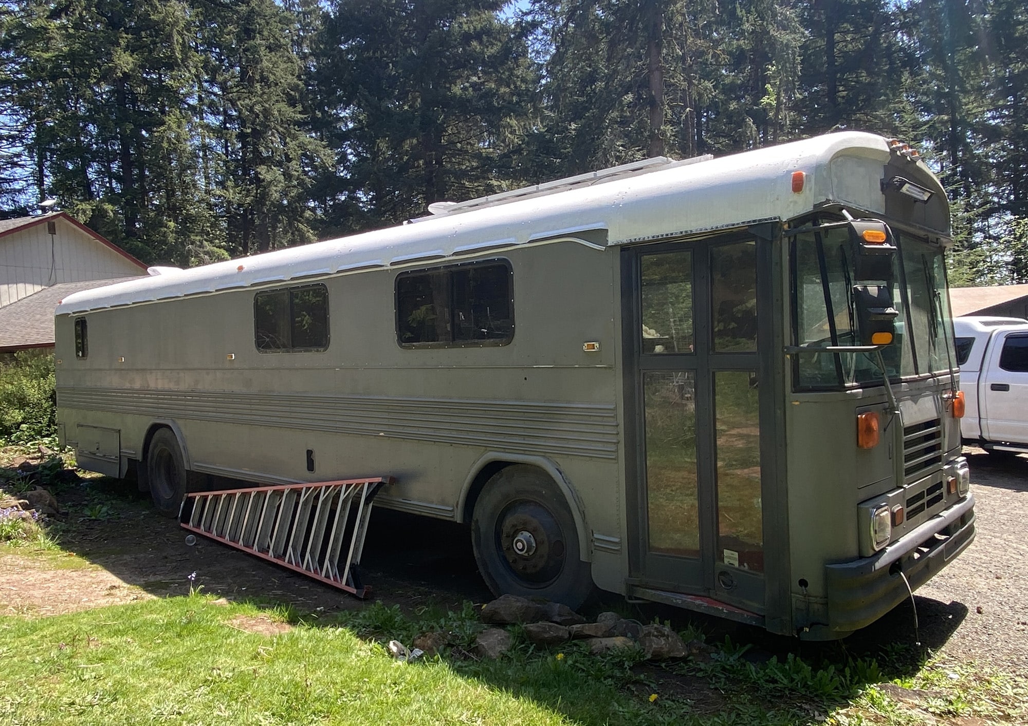 Type C Conventional (The Classic Dog Nose)