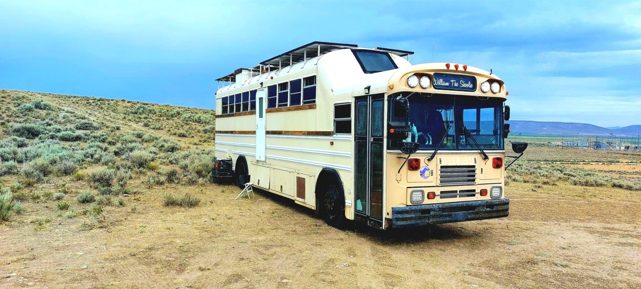 Finding Pet-Friendly Camping and Parking