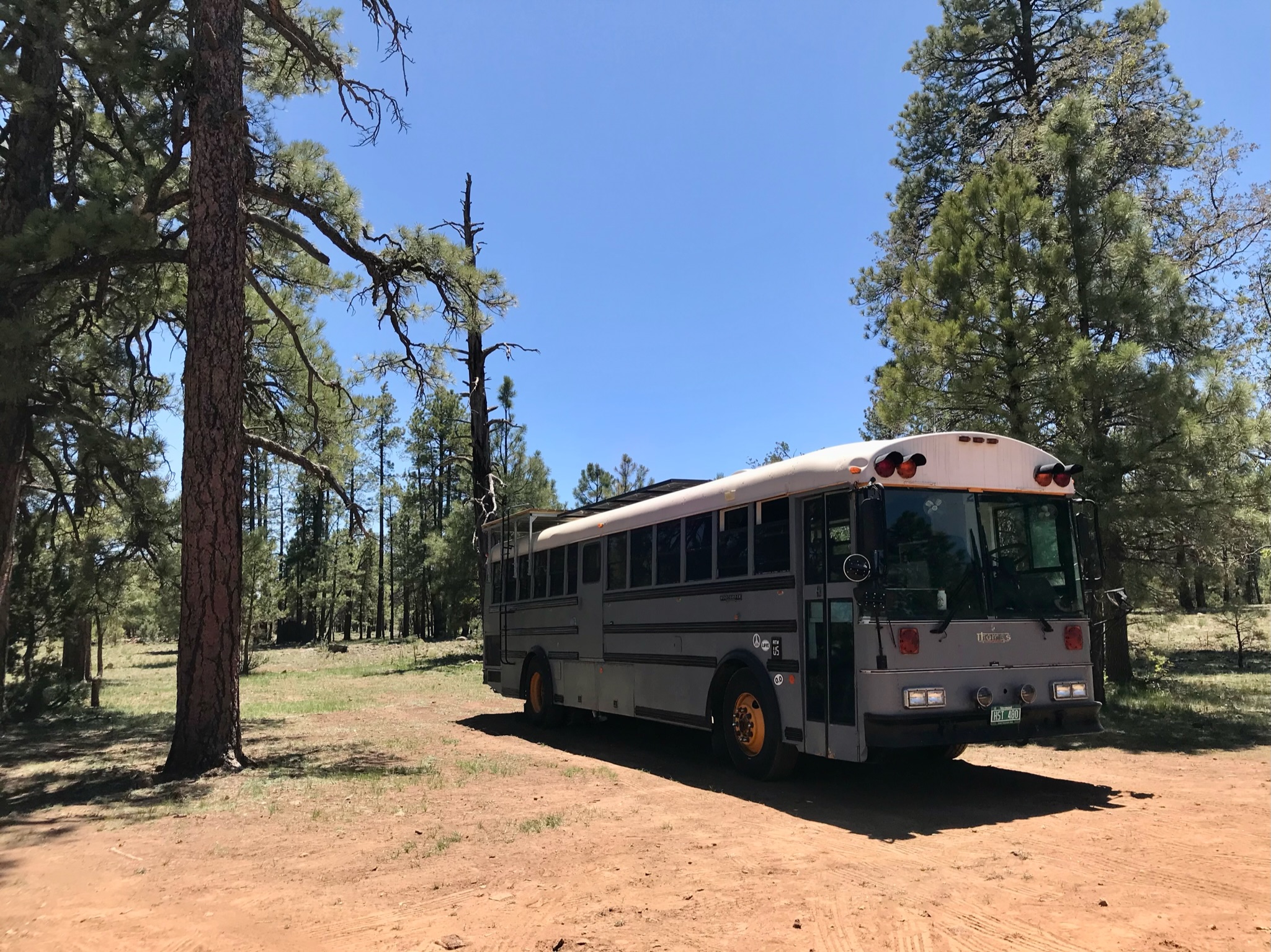 Breed Considerations for Bus Life