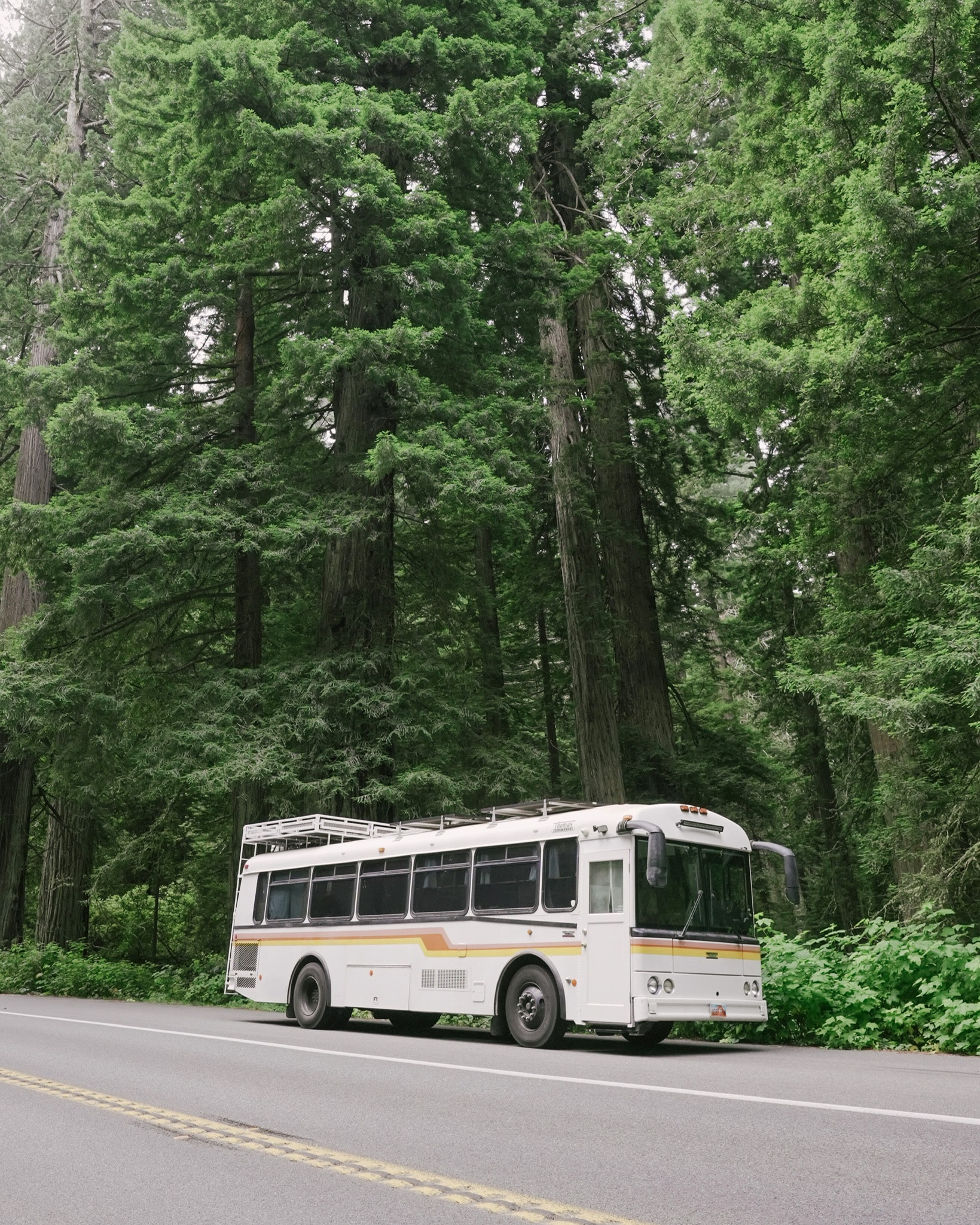 The Emotional Side of Bus Life with Pets