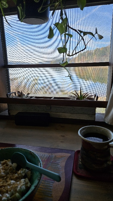 what kind of material did you put over the windows? Thats been my biggest thought on how to get rid