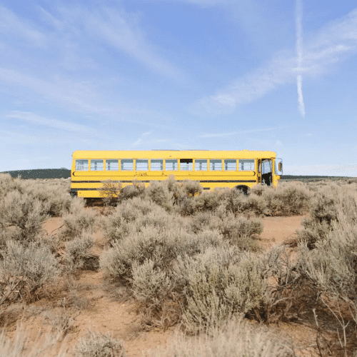 What Are the Different Types of School Buses?