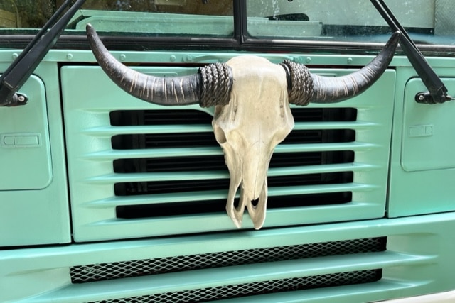 Caterpillar Engines: The Mixed Bag
