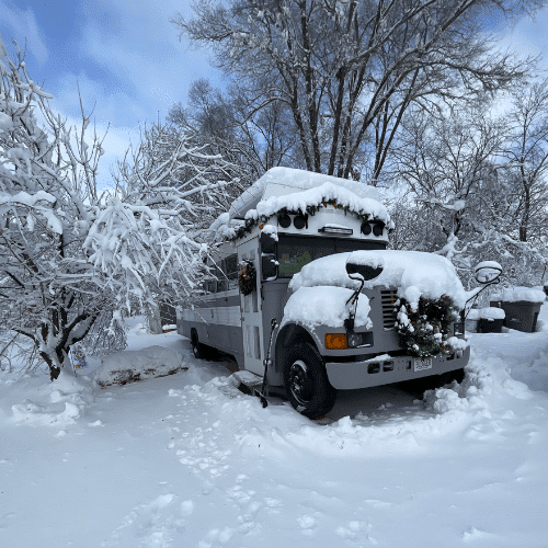 How can I find auction sites for school buses?